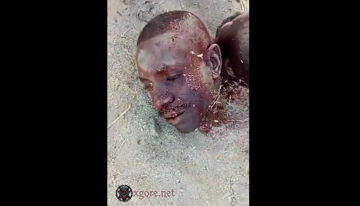 Boko Haram Attack in Ngoshe, Gwoza: Civilians Killed, Women Abducted, Beheaded Heads Mocked in Video