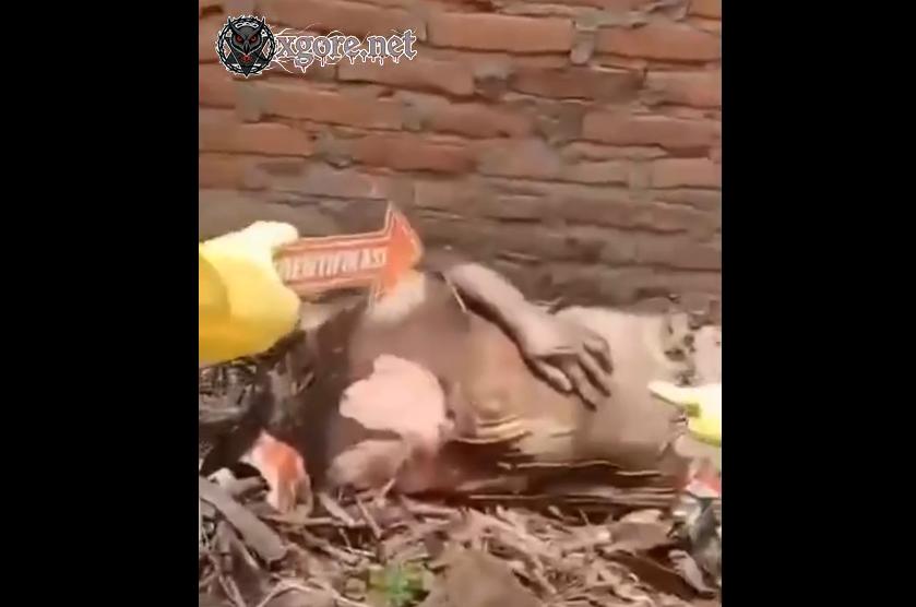 Elderly Woman's Body Found Buried Under Garbage in Serbajadi, Sergai