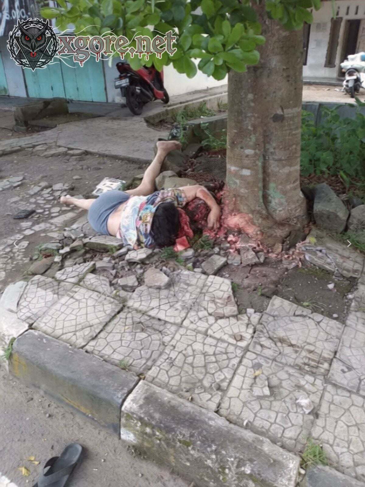 Driver Drowsiness Suspected in Fatal Hit-and-Run Crash: Pedestrian Killed, Two Bikes Struck