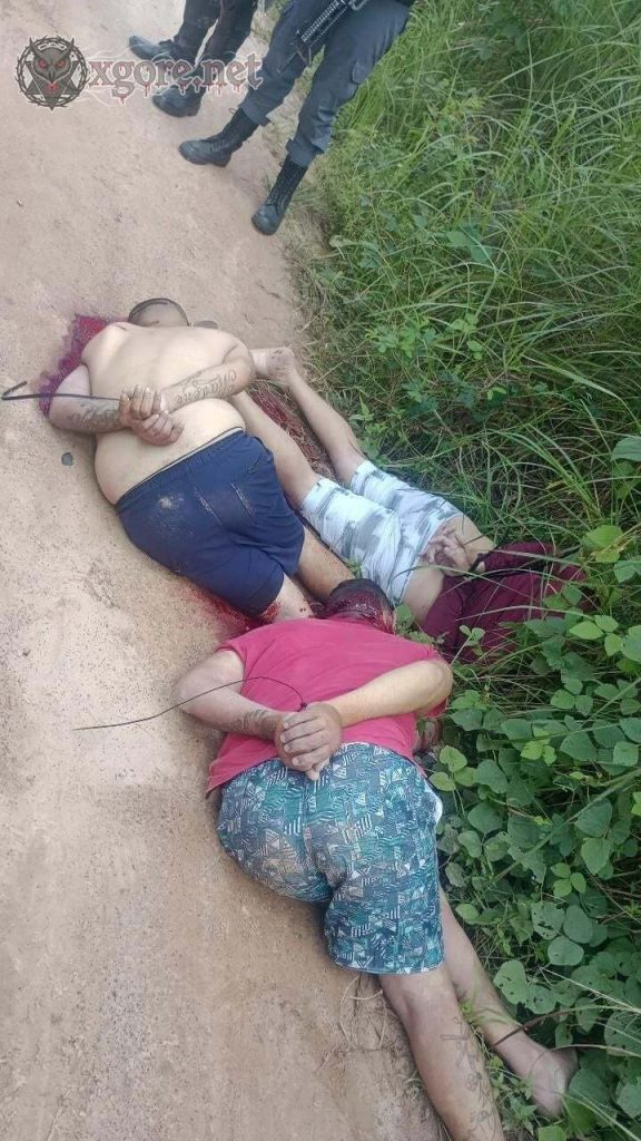  Rafael Fernandes, and Marcelino Vieira Killed 01