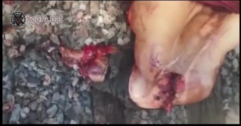 The elderly man was cut to pieces by the train