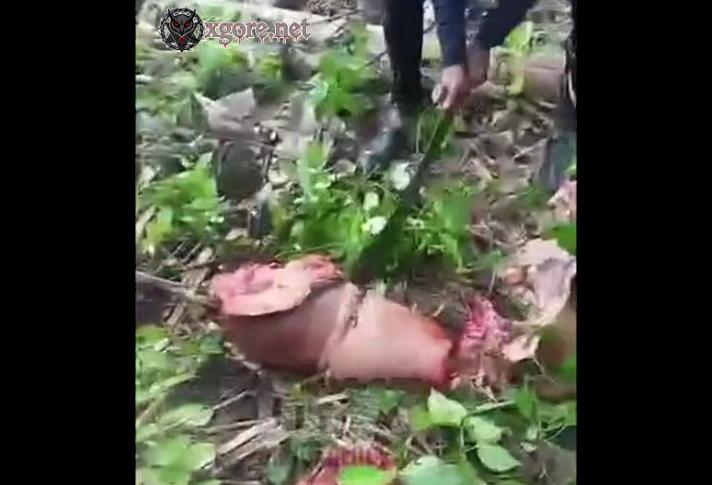 The man was dismembered in the forest