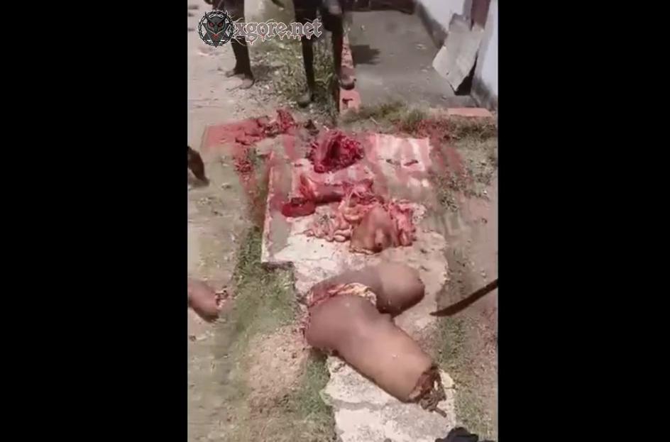 Venezuelan Gang Dismembers Rival and Publicly Displays Body in Shocking Video