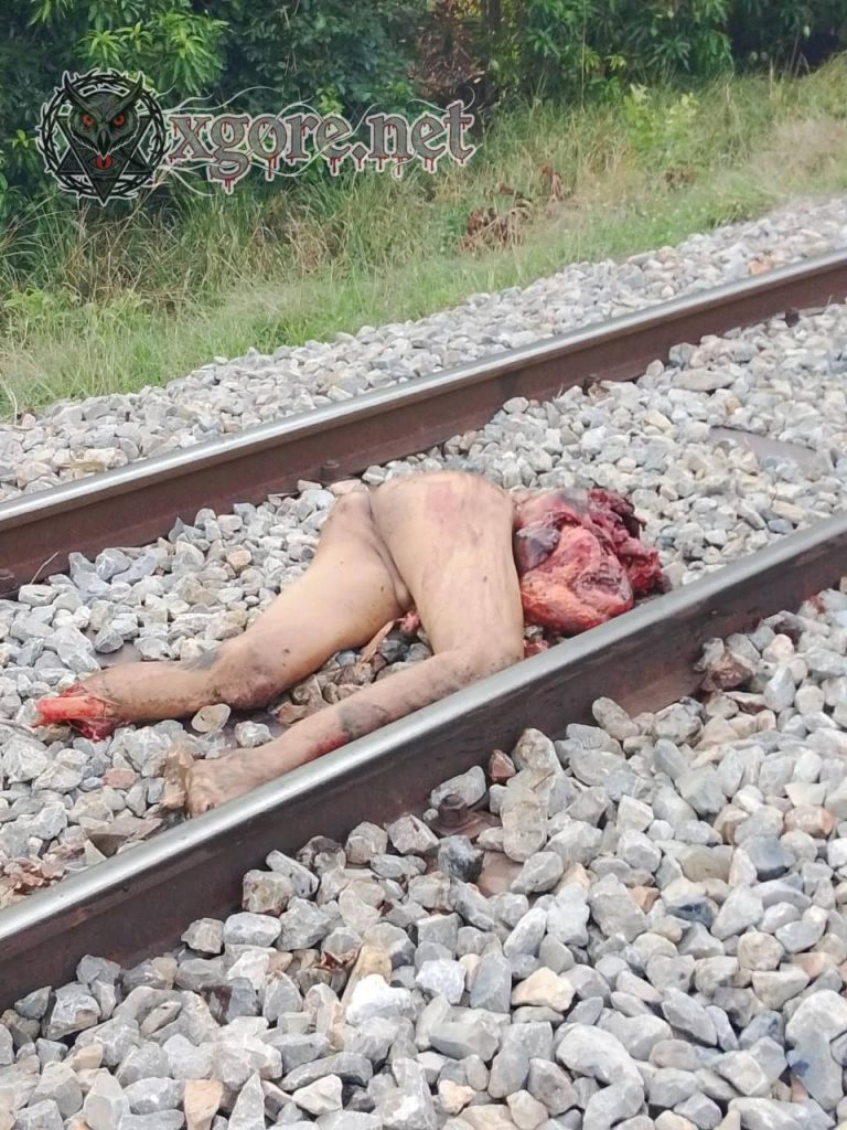 Homeless Man Dismembered by Train in Battambang, Cambodia 01