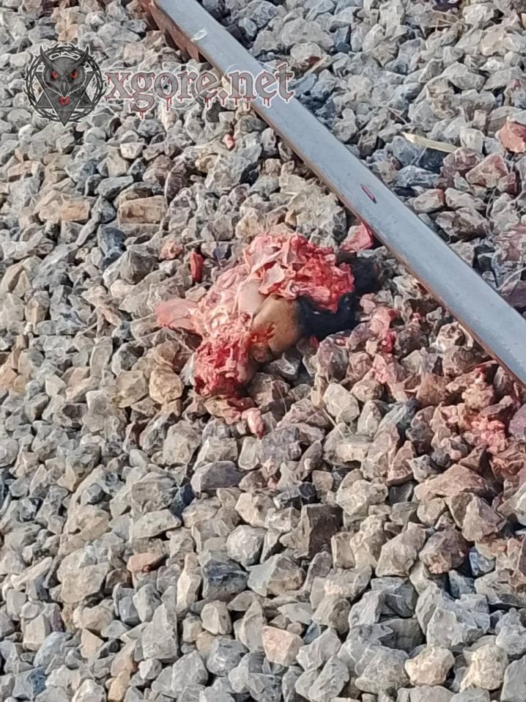 Homeless Man Dismembered by Train in Battambang, Cambodia 03