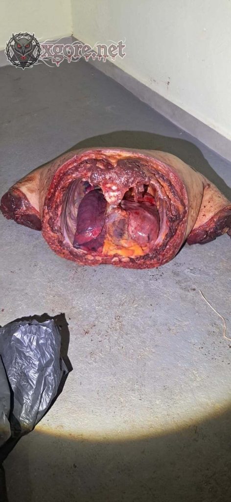 20-Year-Old Lucas Arrested for Murdering and Dismembering Wife’s Cousin Caio in Amparo, Brazil 02