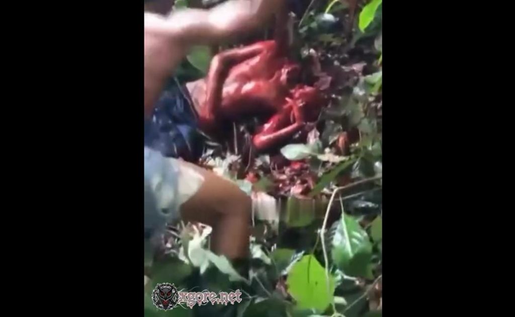 Graphic Beheading Video of Man in Forested Area Goes Viral, Trinidad and Tobago Police Investigate