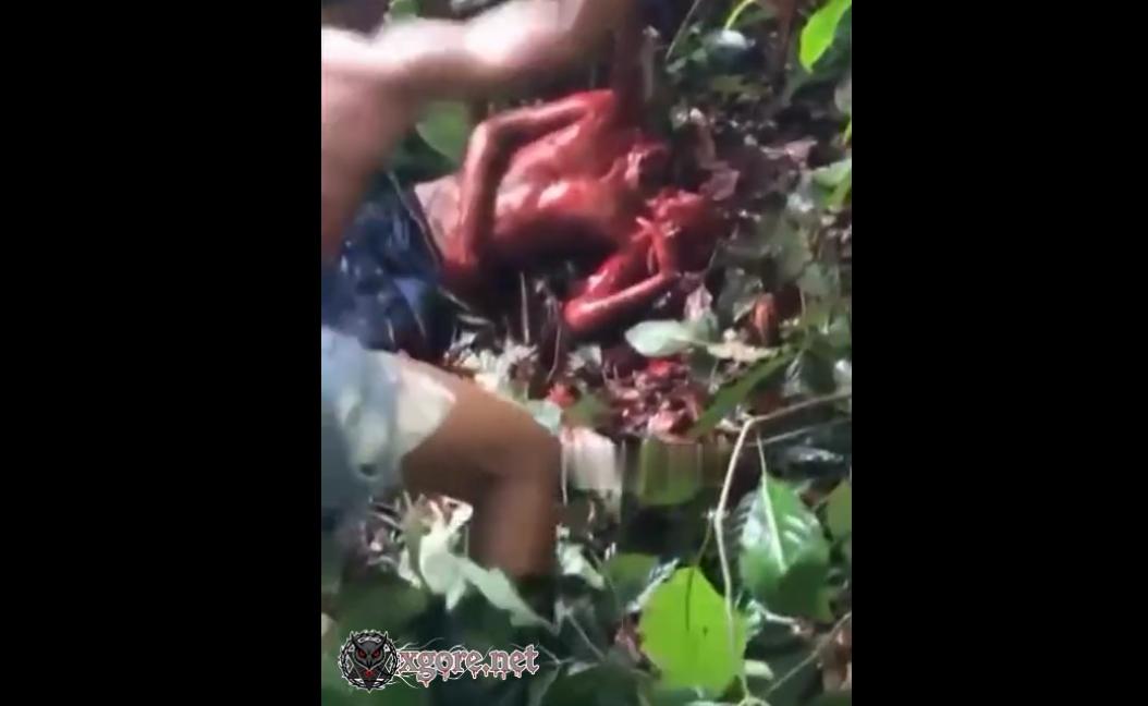 Graphic Beheading Video of Man in Forested Area Goes Viral, Trinidad and Tobago Police Investigate