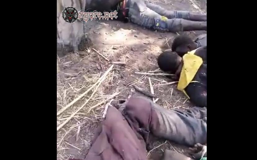 Mali Terror Attacks: Coordinated Jihadist Assaults Kill Civilians in Bamako, Gao and More