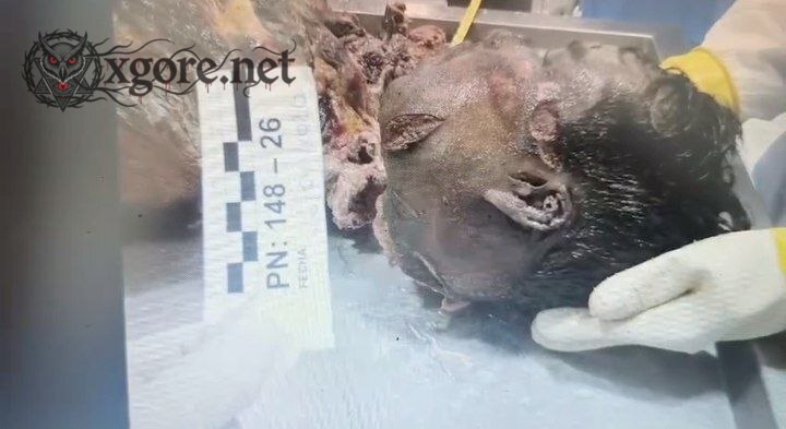 Dismembered Body of Missing Man Found in Cooking Pots in Cusco, Peru; Suspect Detained 01