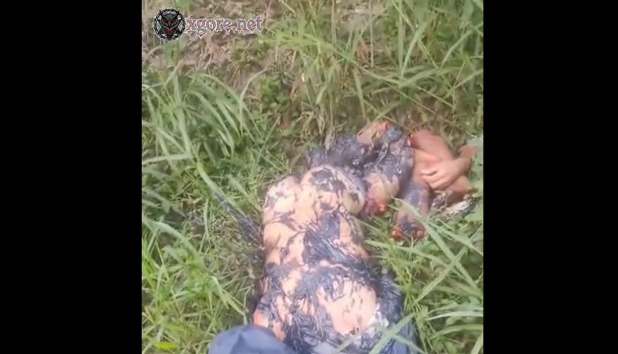 Dismembered Body Found Near Fazenda São Bernardino in Tinguá, Nova Iguaçu