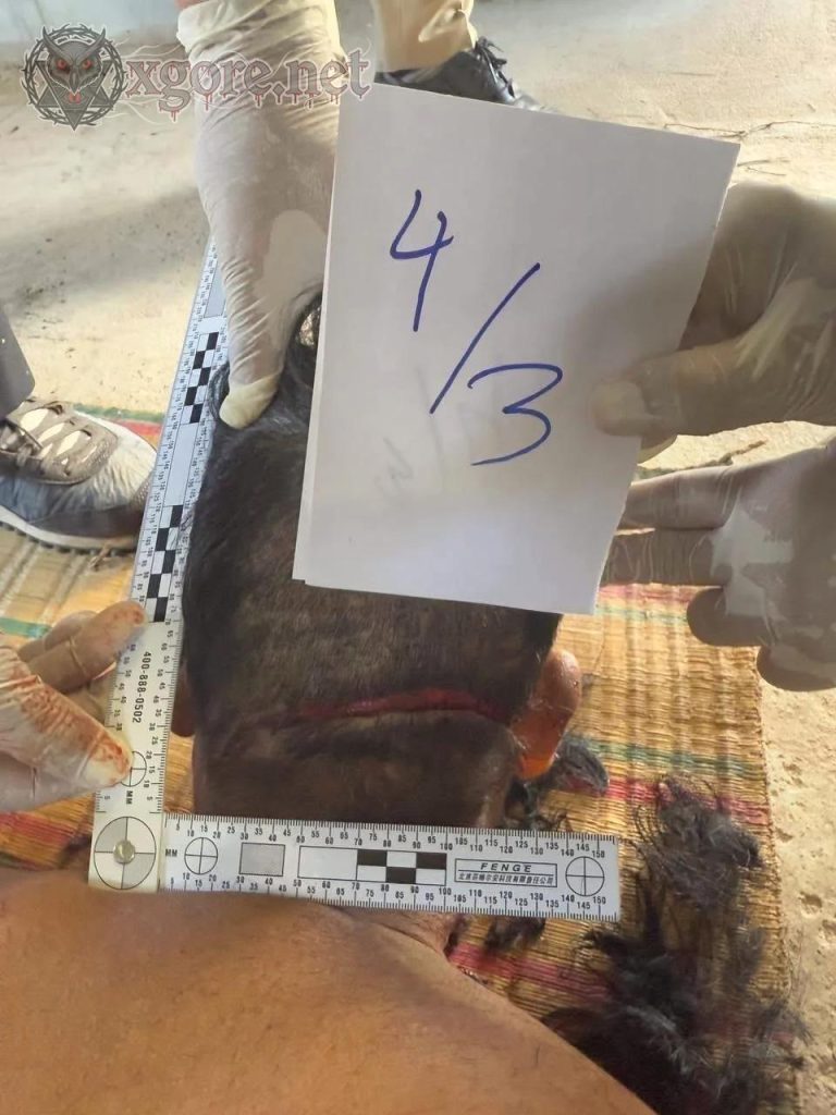 Three Suspects Arrested in Brutal Cambodia Murder Over Palm Wine Grudge 04