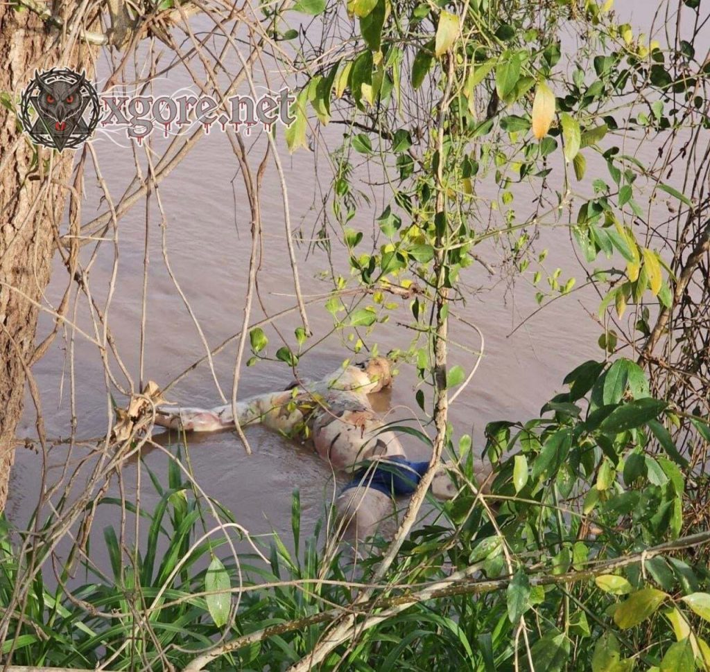 Decapitated Decomposing Body in Blue Boxer Shorts Found on San Manuel River Bank