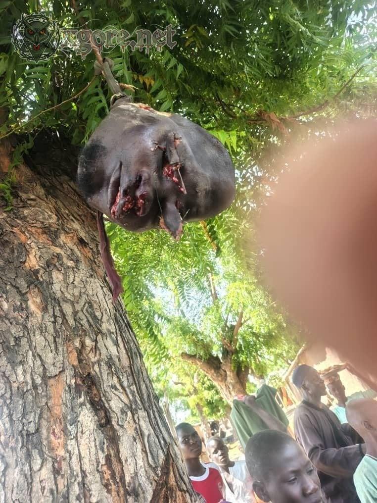 Notorious Bandit Kingpin Alhaji Tuku Bosho Gusami Neutralized in Zamfara Military Offensive 01