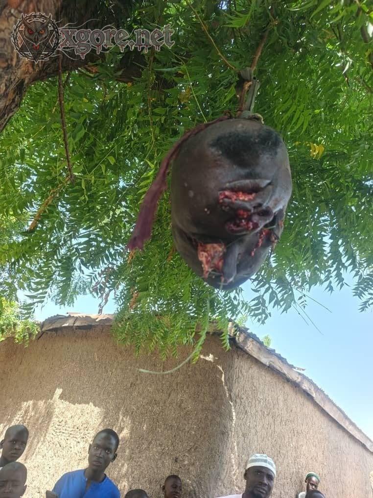 Notorious Bandit Kingpin Alhaji Tuku Bosho Gusami Neutralized in Zamfara Military Offensive 04