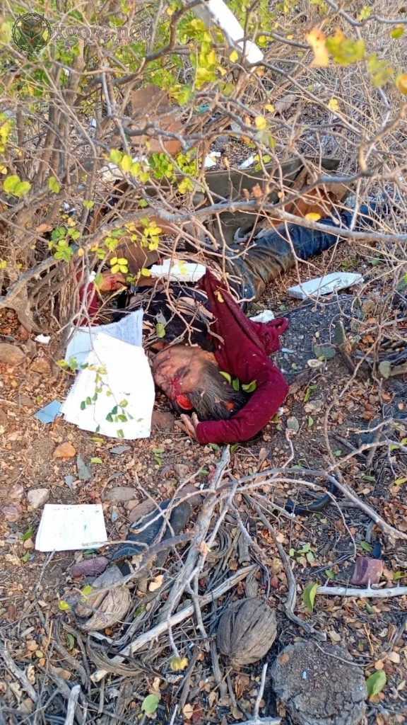 At Least Seven Dead in Deadly Head-On Crash on PE-360 Highway, Pernambuco, Brazil