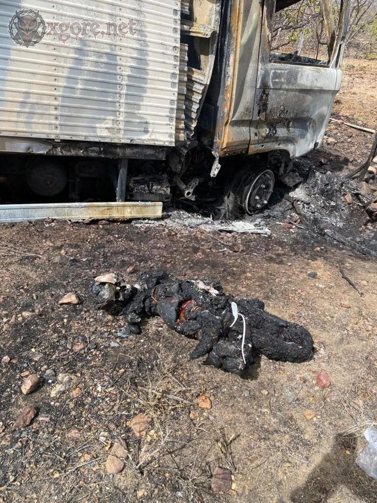 At Least Seven Dead in Deadly Head-On Crash on PE-360 Highway, Pernambuco, Brazil 01