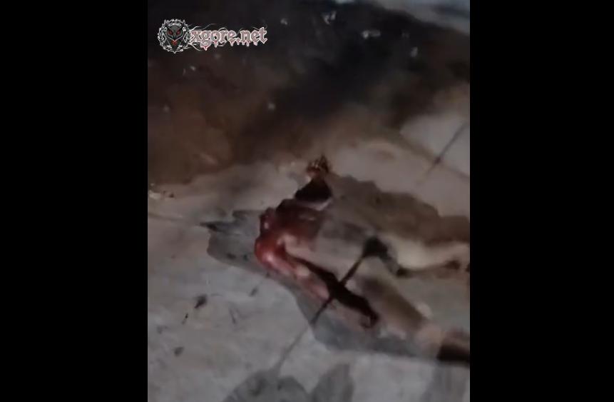 Headless body discovered on the street