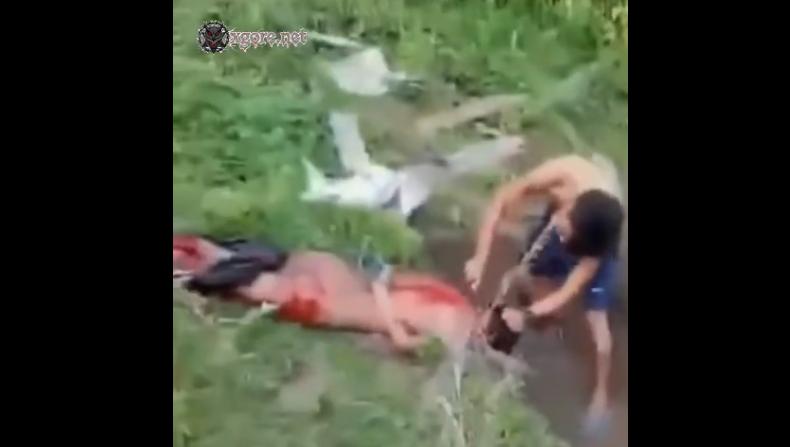 Brutal Beheading Video Highlights Myanmar’s Collapse Amid Civil War