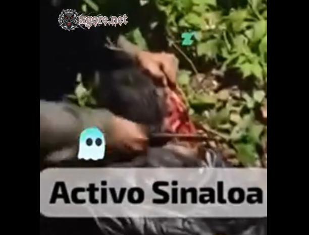 A Mexican drug cartel beheaded a rival gang member even after he was already dead