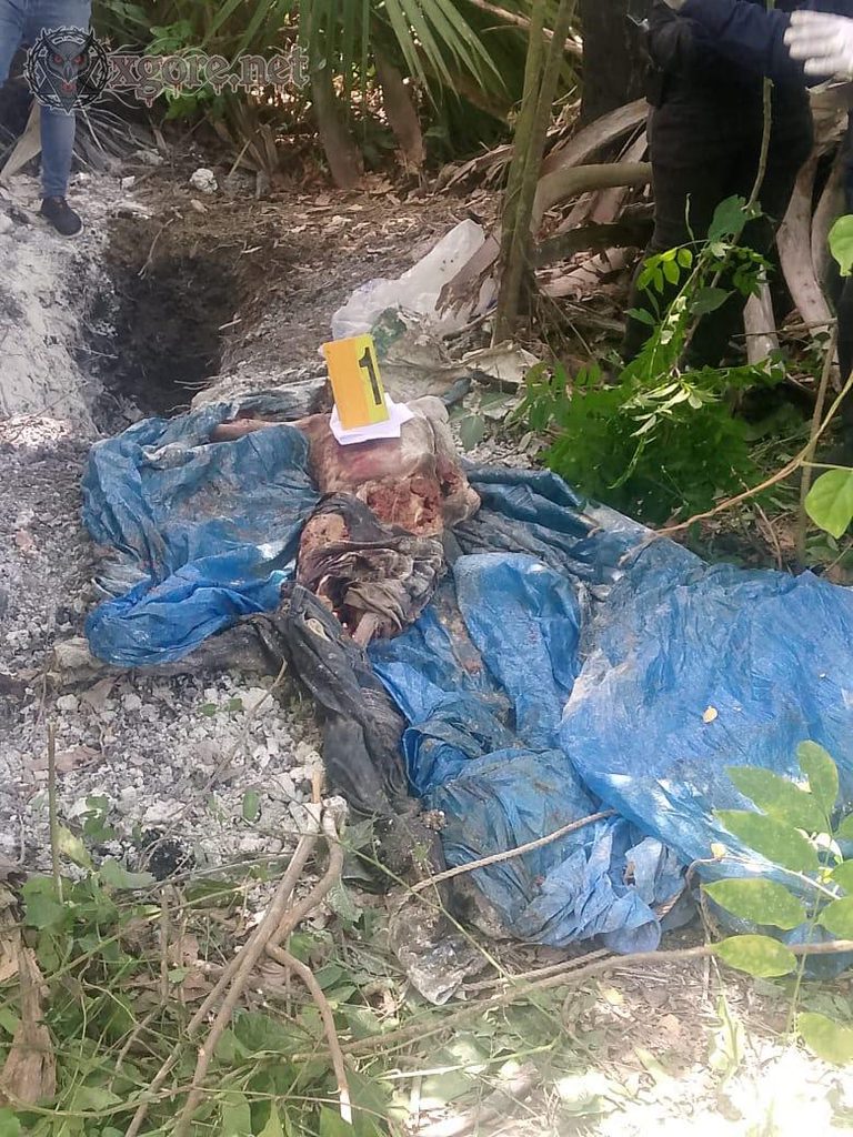 Corpse of Missing Man Found Buried Near New York Grill in Moca, Dominican Republic 01