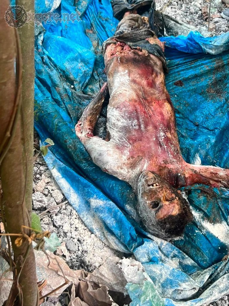 Corpse of Missing Man Found Buried Near New York Grill in Moca, Dominican Republic 03