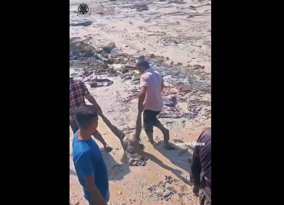 Nepal-Tibet Border Flood and Landslide Aftermath: Videos Show Recovery of Severed Body Parts After Deadly Disaster