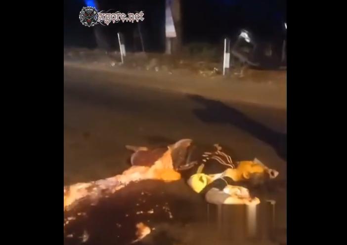 Tragic Traffic Accident Outside Mayora Factory: Wife Crushed to Death on Spot, Husband Injured
